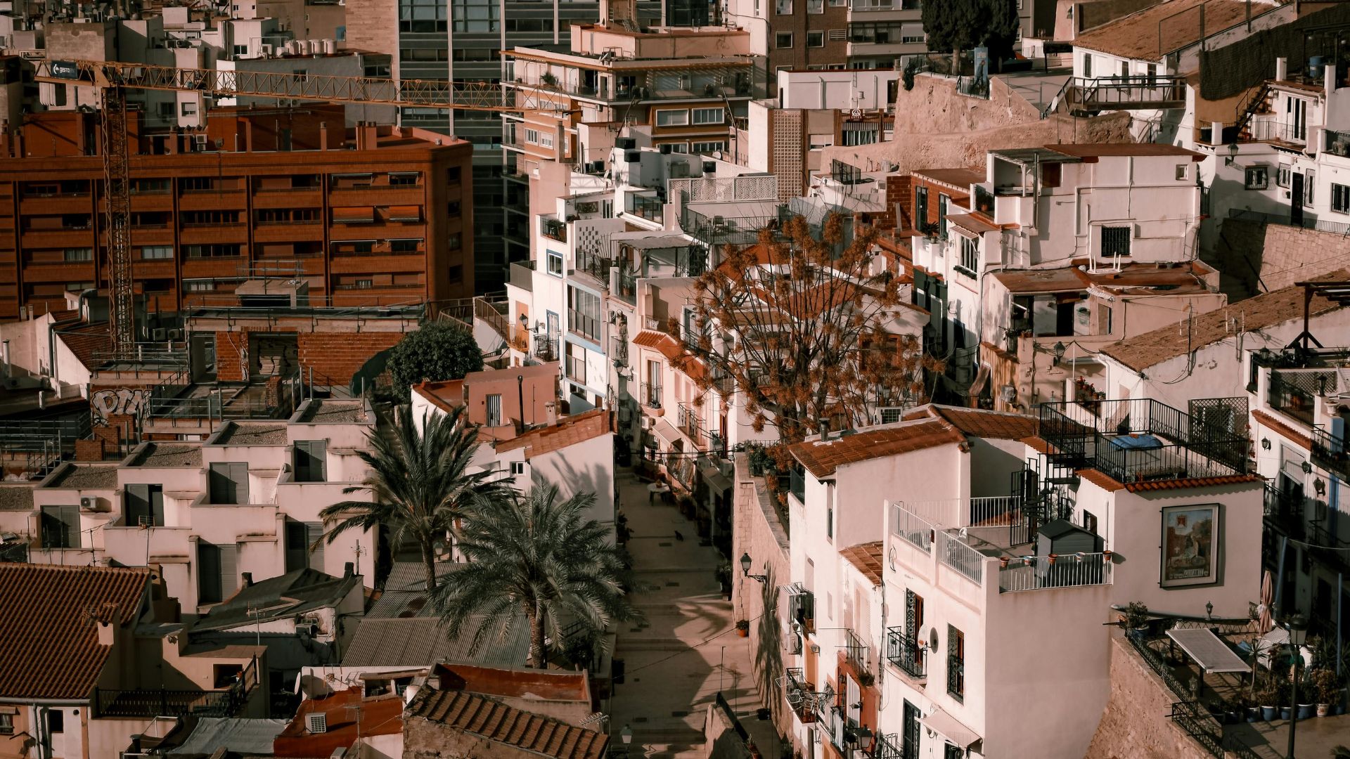 Exención por reinversión en vivienda habitual